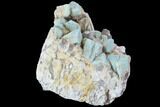 Amazonite & Smokey Quartz Cluster - Colorado #86876-1